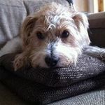 Profile Picture of Darren Eddy (@darren.eddy) on Instagram