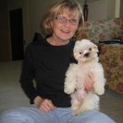Profile Picture of Carol Groseth (@cgroseth) on Pinterest