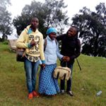 Adolf Ericko - Instagram Profile Picture of Adolf Ericko (@adolfericko) on Instagram