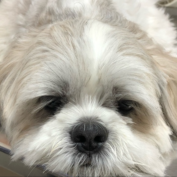 Profile Picture of Paris Jarus (@snoopypee13) on Poshmark