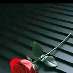 Profile Picture of Nabila Memon Memon (@Nabila-Memon-Memon) on Facebook