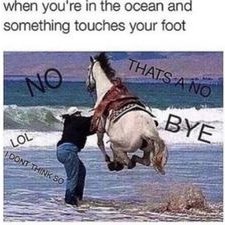 Profile Picture of Patrick Perko (@patrick_perko) on Twitter