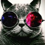Profile Picture of joshua viera (@viera8828) on Instagram