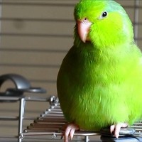 Profile Picture of Ric Mitchell (@ric-mitchell) on Quora