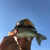 Profile Picture of Jaxon Reading (@@jaxonreading) on Tiktok