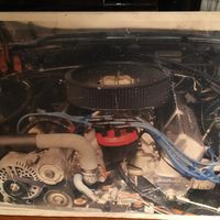 Profile Picture of Steven Arredondo (@steven-arredondo-6) on Quora