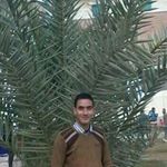 Profile Picture of Ashraf Rezk (@rezk1280) on Instagram