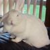 Profile Picture of Kevin Kachel (@kevin.kachel.378) on Facebook