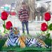 Profile Picture of Mohammad Mannan (@mohammad.mannan.716195) on Facebook