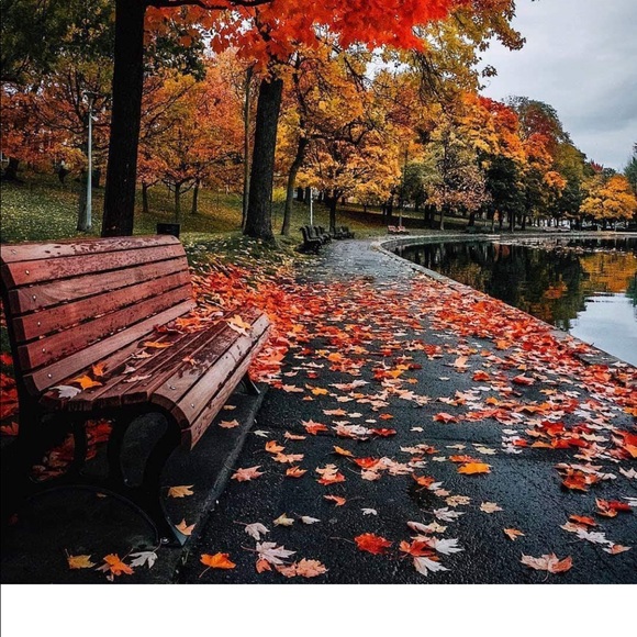 Profile Picture of Shqipe Jahjaga (@shqipe272) on Poshmark