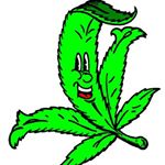 Profile Picture of FinestStrains UK🍓🍏❌NOSELLING ❌ (@birmingdam420) on Instagram