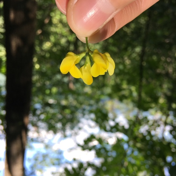 Profile Picture of Michaela Brown (@michaela_brown) on Poshmark