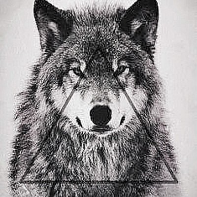 Profile Picture of Marcelo De Borba (@marc3elo13) on Twitter