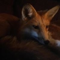 Profile Picture of Crystal Watts (@crystal-watts-14) on Quora