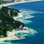 Profile Picture of Norma Caruso (@norma75jw) on Instagram