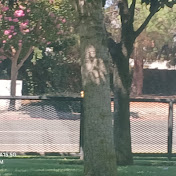 Profile Picture of Jeremy Fritz 