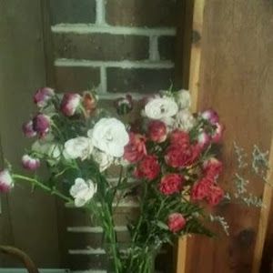 Profile Picture of Deborah Sparrow (@@deborahsparrow) on Tiktok