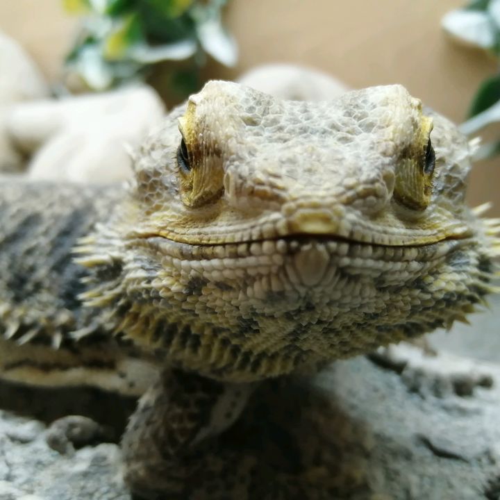 Profile Picture of Brian James Pryde (@brianjamespryde) on Tiktok