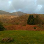 Profile Picture of Stephen Farrer (@oilandsawdust) on Instagram