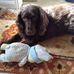 Profile Picture of Robert Simms (@robert.simms.102361) on Facebook