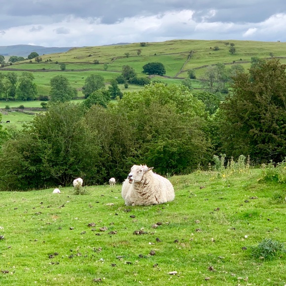 Profile Picture of Grace Moraca (@irongiant1957) on Poshmark