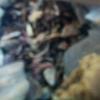 Profile Picture of Jason Brant (@@jasonbrant02) on Tiktok
