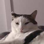 Profile Picture of Dave Cote (@dave.cote11) on Instagram