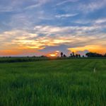 Profile Picture of chris caffarelli (@chrismcaff) on Instagram