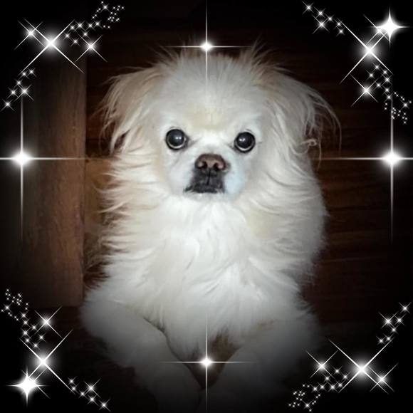 Profile Picture of Moani Browne (@moani75) on Poshmark