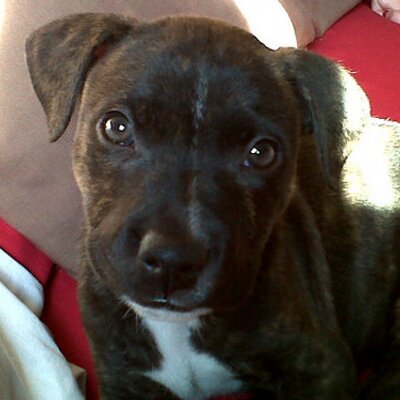 Profile Picture of Kevin Taylor (@fetty_stella) on Twitter