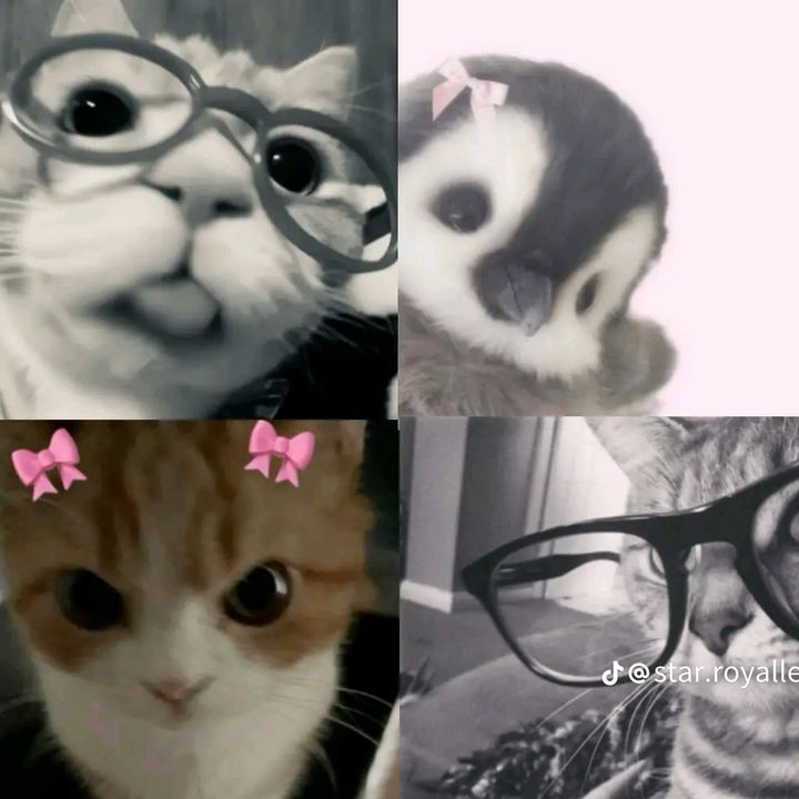 Profile Picture of Aron Castro (@aron.castro22) on Tiktok