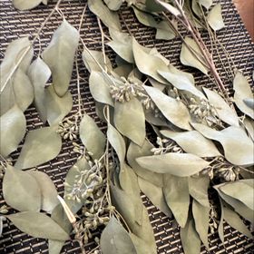 Profile Picture of Mita Patel (@mitziie) on Pinterest