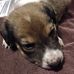Profile Picture of Chopp Bruce (@chopp.bruce.7) on Facebook