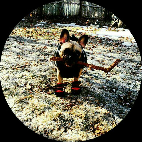 Profile Picture of Sarah Maseda (@smaseda66) on Poshmark