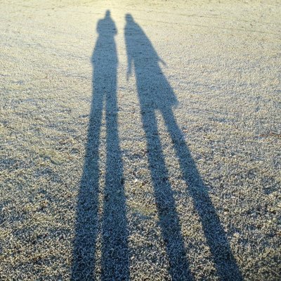 Profile Picture of Jeremy Palmer (@JPalmerGardens) on Twitter