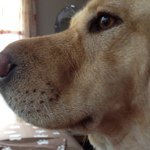 Profile Picture of nancynemec (@nancynemec) on Instagram