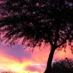 Profile Picture of Lisa DaCosta (@lisadinJH) on Twitter