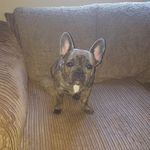 Profile Picture of sarah jane sleightholme (@sleights2017) on Instagram