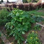 Profile Picture of Daniel Ritzmann (@ritzmanndaniel) on Instagram