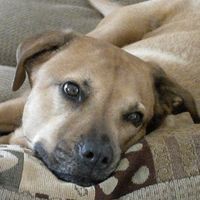 Profile Picture of John Voiles (@john-voiles) on Quora