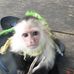 Profile Picture of Leonardo Belter (@leonardo.belter.96) on Facebook