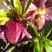 Profile Picture of Elisabeth Poppenk-Joosse (@efpoppenkjoosse) on Pinterest