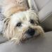 Profile Picture of Susan Fauteux (@Susan-Fauteux) on Facebook