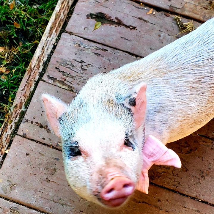 Profile Picture of Jennifer Benson (@@jenniferbenson14) on Tiktok