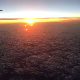 Profile Picture of Chloe Bryant (@bryant7024) on Pinterest