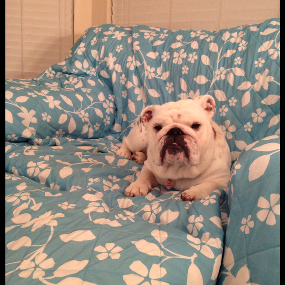 Profile Picture of Stasha Heffington (@stasha44) on Poshmark