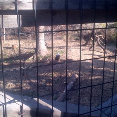 Profile Picture of Bryan Neeley (@bneeley99) on Twitter