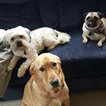 Profile Picture of cathy hare teter (@cathyhareteter) on Instagram