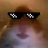 Profile Picture of Hamster army (@@markroot20) on Tiktok