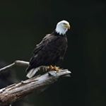 Profile Picture of Robert Kegel (@robert.kegel) on Instagram